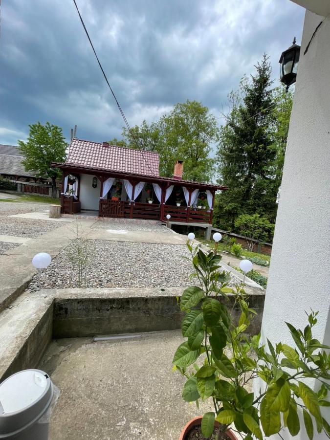 Pensiunea Dragos Voda Breb Exterior photo